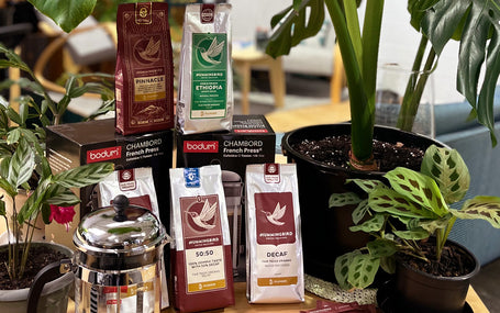 Hummingbird & The Green Lab Partnership
