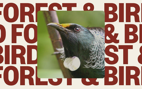 Vote for Good with Forest & Bird