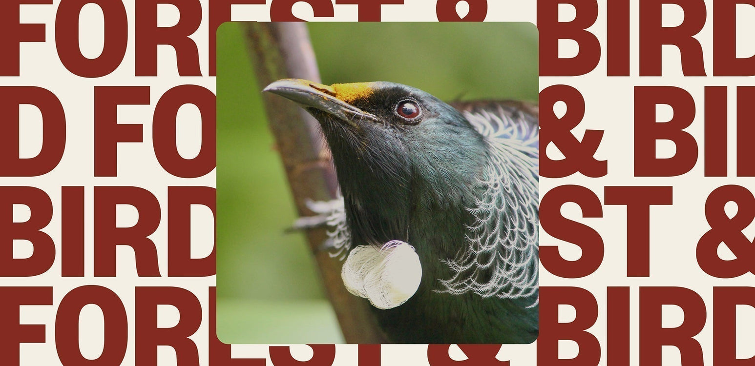Vote for Good with Forest & Bird