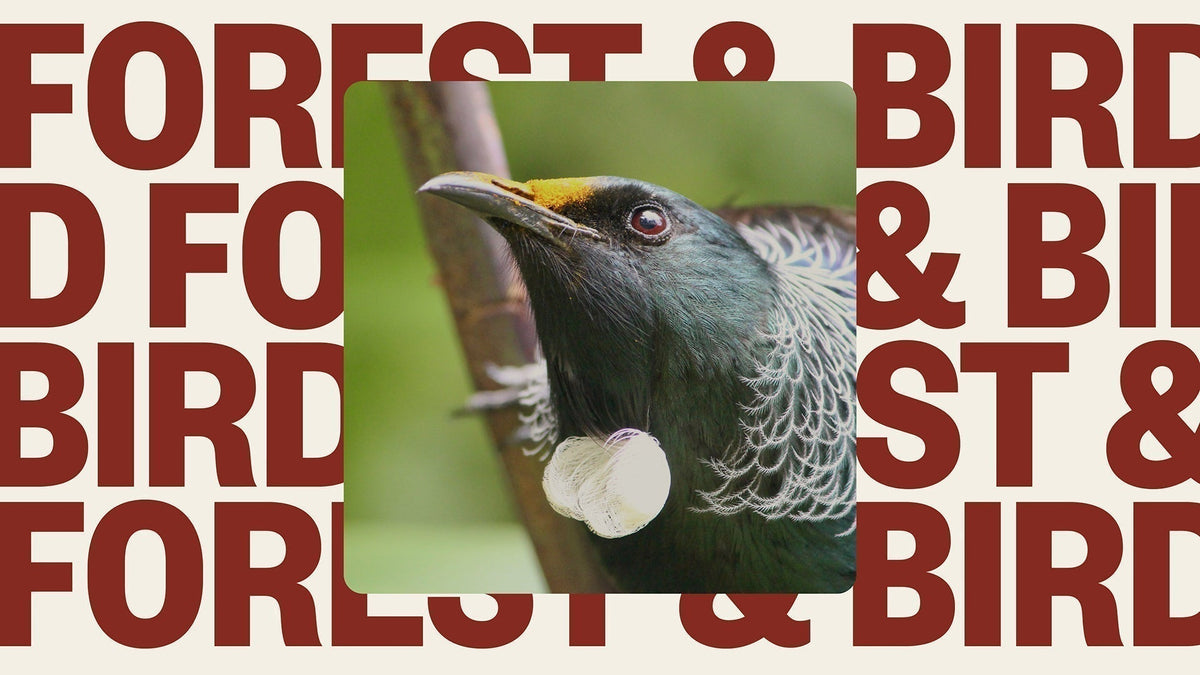 Vote for Good with Forest & Bird