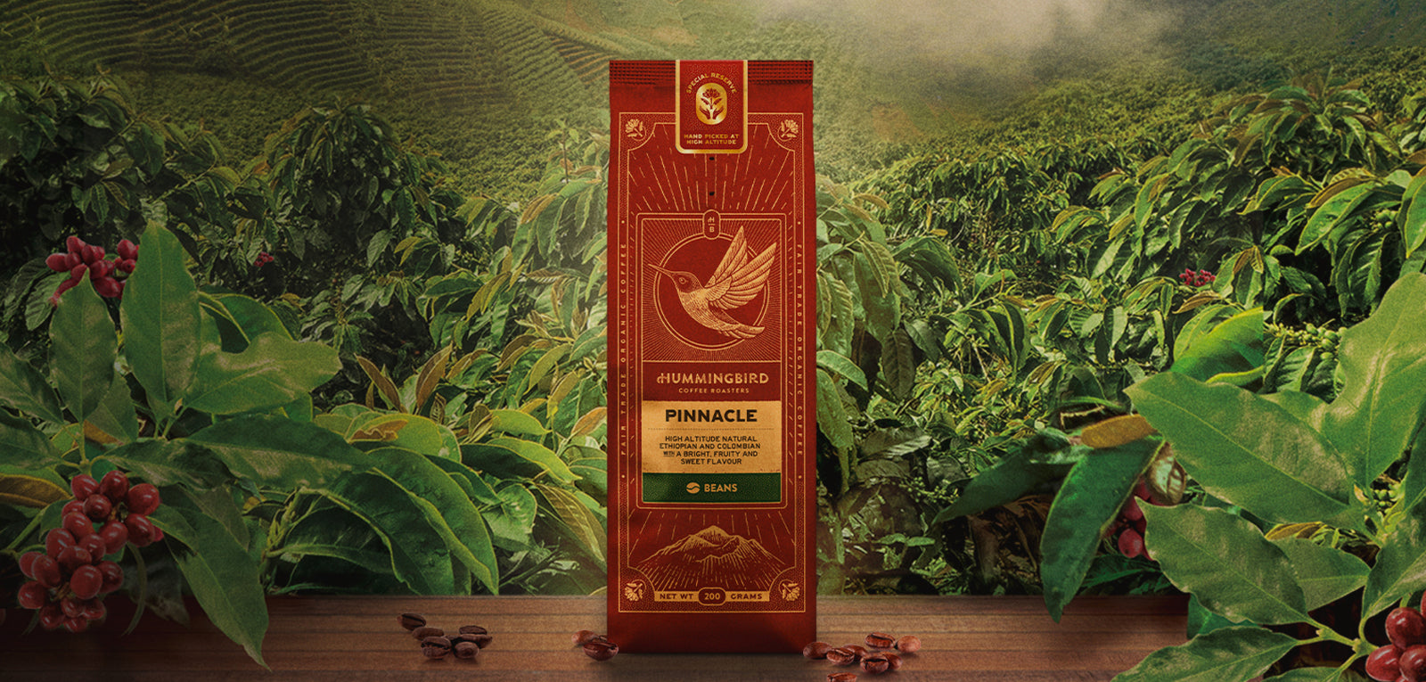 Package of Hummingbird Special Reserve coffee beans amidst coffee plants